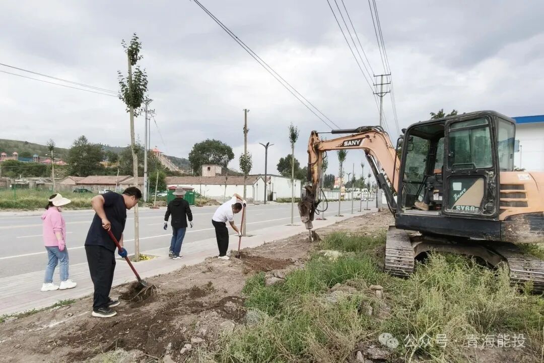 1764571973373649.jpg 8.jpg